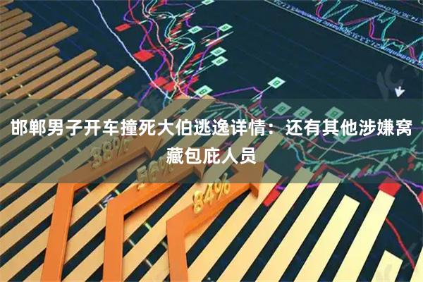 邯郸男子开车撞死大伯逃逸详情:还有其他涉嫌窝藏包庇人员
