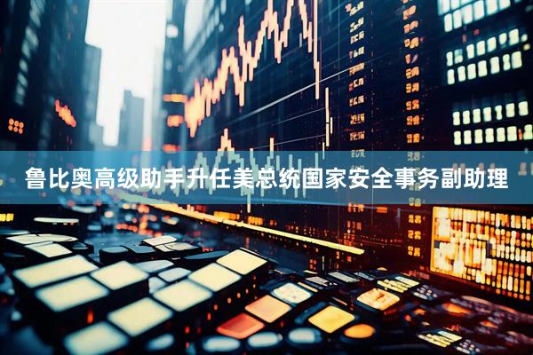 鲁比奥高级助手升任美总统国家安全事务副助理