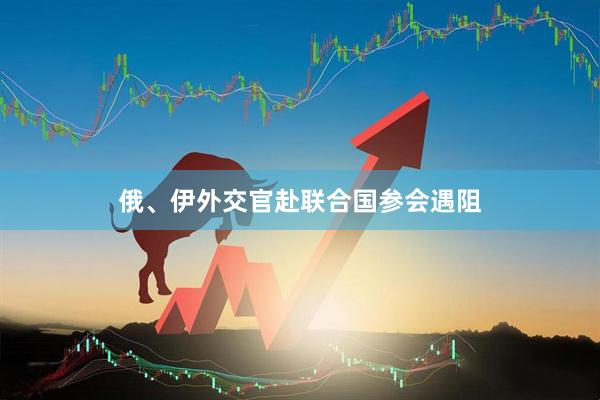 俄、伊外交官赴联合国参会遇阻