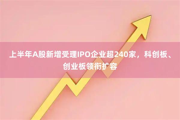 上半年A股新增受理IPO企业超240家，科创板、创业板领衔扩容